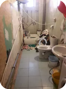 Немного свежего трэша в новостную ленту